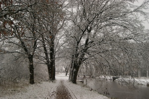 171210-PK-sneeuwval in Heeswijk- 9a 